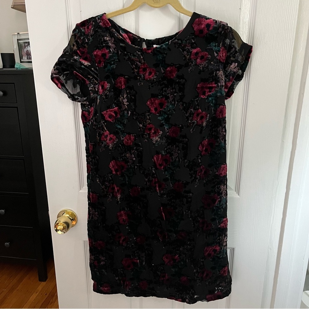 Above-knee length Floral velvet dress. Size 4.